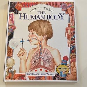 How It Works: The Human Body Book Kate Barnes Steve Weston Illustrated Kids